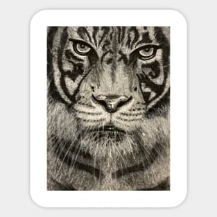 Tiger sketch Sticker